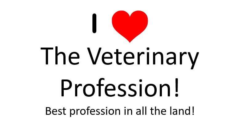 Get MotiVETed, Dr. Quincy Hawley, I heart veterinary medicine, I heart veterinarians, veterinary wellbeing