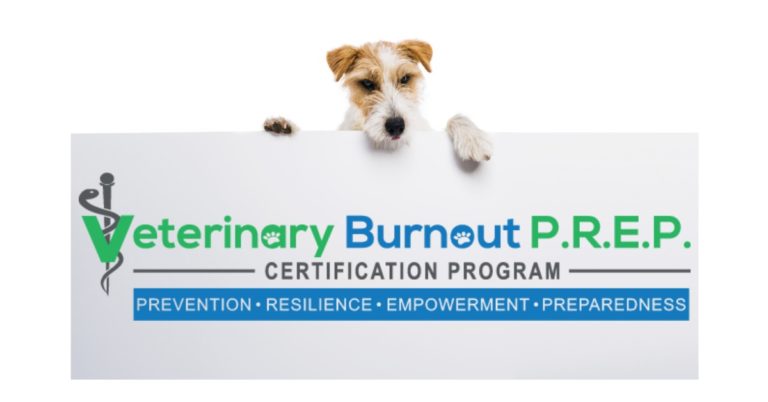 Get MotiVETed, burnout, veterinary burnout, burnout certification, veterinary wellbeing, veterinary wellness, veterinary wellbeing certification, RACE approved, Dr. Quincy Hawley, Renee Machel