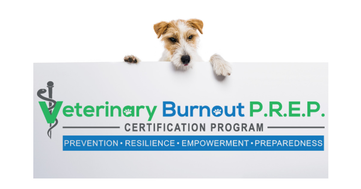 get motiveted, veterinary burnout prep, veterinary burnout, burnout preparedness, dr. quincy hawley, veterinary wellbeing, veterinary team training, burnout certification, renee machel